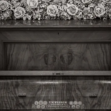 Eco Center 포스토이나