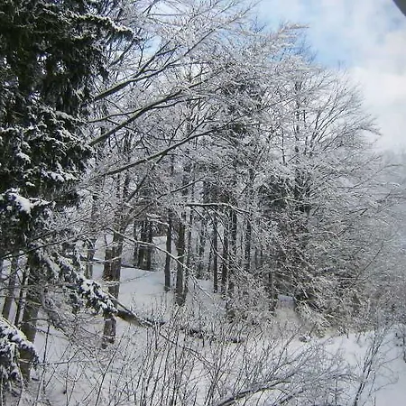 Eco Center فندق بوستوينا