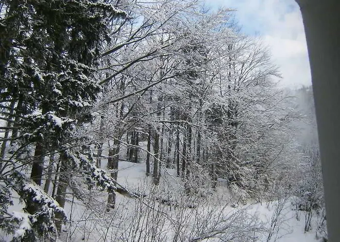 Eco Center Hotell Postojna